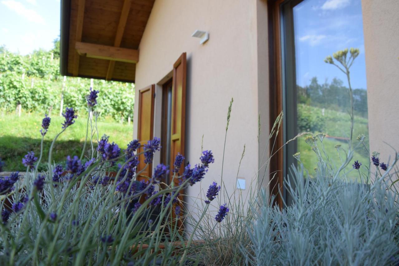 Bed and Breakfast Al-Colle Sotto il Monte Zewnętrze zdjęcie